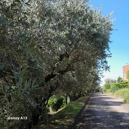 Casa Magnolia