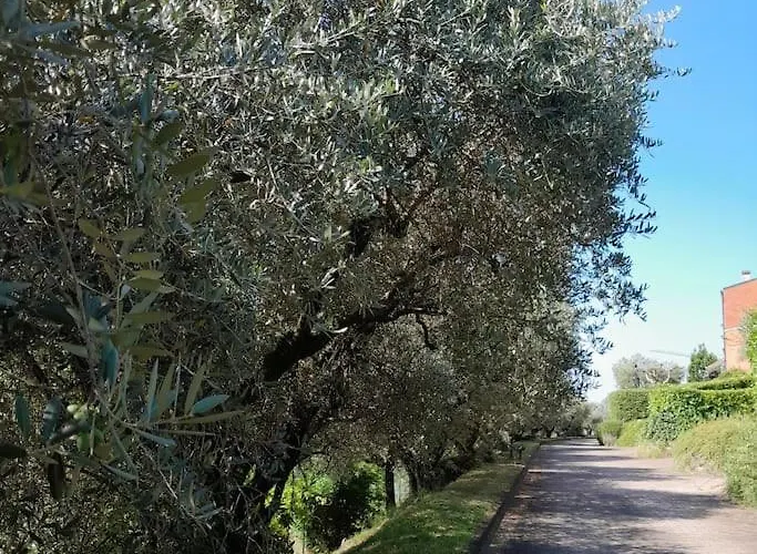 Casa Magnolia